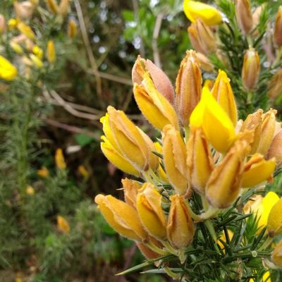 Nature-Bhargav Rentala-13MB-Wild Bunch